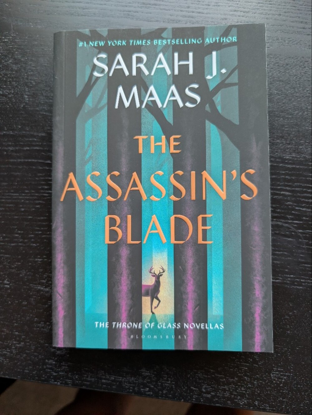 The Assassin's Blade by Sarah J Maas